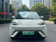 BYD Seagull 2023 Vitality Edition - ფოტო 2