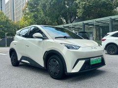 BYD Seagull 2023 Vitality Edition - ფოტო 8