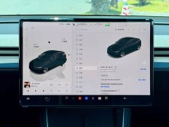 Tesla Model Y Long Range All-Wheel Drive - ფოტო 18