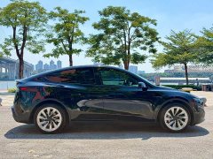 Tesla Model Y Long Range All-Wheel Drive - ფოტო 6