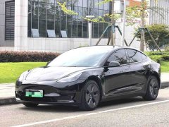 Tesla Model 3 Rear-Wheel Drive - ფოტო 1
