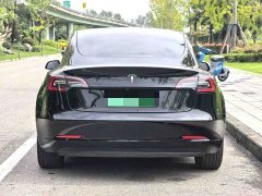 Tesla Model 3 Rear-Wheel Drive - ფოტო 7
