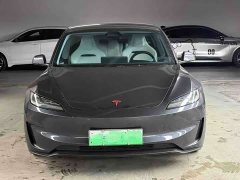 Tesla Model 3 High Performance All-Wheel Drive - ფოტო 2