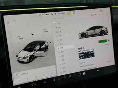 Tesla Model 3 High Performance All-Wheel Drive - ფოტო 4