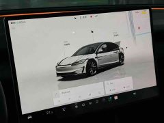 Tesla Model 3 High Performance All-Wheel Drive - ფოტო 5