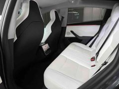 Tesla Model 3 High Performance All-Wheel Drive - ფოტო 6