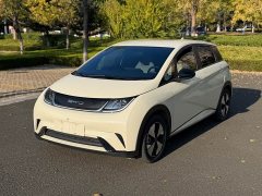 BYD Dolphin 420km Freedom Edition - ფოტო 1