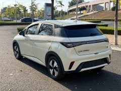 BYD Dolphin 420km Freedom Edition - ფოტო 5
