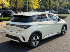 BYD Dolphin 420km Freedom Edition - ფოტო 7
