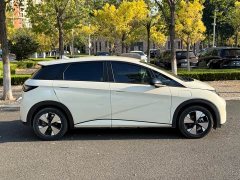 BYD Dolphin 420km Freedom Edition - ფოტო 8