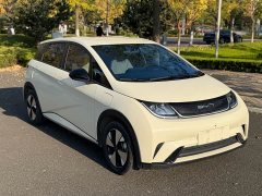 BYD Dolphin 420km Freedom Edition - ფოტო 9