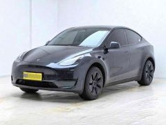 Tesla Model Y Rear-Wheel Drive - ფოტო 1