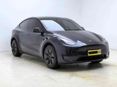 Tesla Model Y Rear-Wheel Drive - ფოტო 2