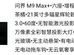 AITO Aion M9 Extended Range Max 6-Seater - ფოტო 7