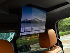 Great Wall WEY Shanshan New Energy Four-Wheel Drive Shanshan 9 - ფოტო 10