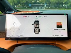 Great Wall WEY Shanshan New Energy Four-Wheel Drive Shanshan 9 - ფოტო 16