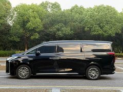Great Wall WEY Shanshan New Energy Four-Wheel Drive Shanshan 9 - ფოტო 2