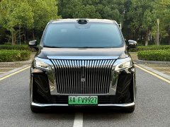 Great Wall WEY Shanshan New Energy Four-Wheel Drive Shanshan 9 - ფოტო 5