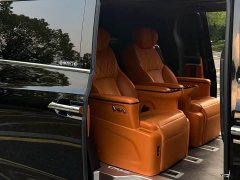 Great Wall WEY Shanshan New Energy Four-Wheel Drive Shanshan 9 - ფოტო 8