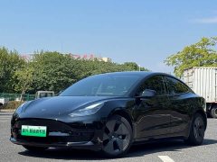 Tesla Model 3 Standard Range RWD Upgrade 3D6 - ფოტო 1
