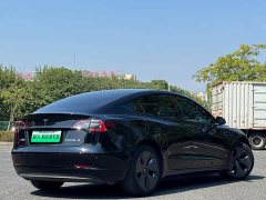 Tesla Model 3 Standard Range RWD Upgrade 3D6 - ფოტო 10