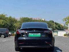 Tesla Model 3 Standard Range RWD Upgrade 3D6 - ფოტო 11