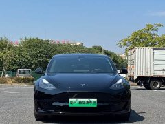 Tesla Model 3 Standard Range RWD Upgrade 3D6 - ფოტო 2