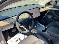 Tesla Model 3 Standard Range RWD Upgrade 3D6 - ფოტო 4