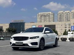 Geely Xingrui 2.0T Diesel Luxury - ფოტო 1
