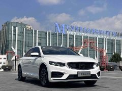 Geely Xingrui 2.0T Diesel Luxury - ფოტო 3