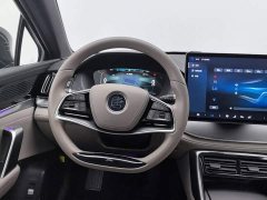 BYD Yuan Plus DM-i Glory Edition 112KM Premium - ფოტო 11