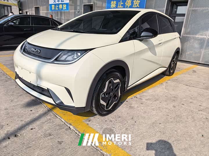 BYD Dolphin 420km Freedom Edition - ავტომობილი ჩინეთიდან