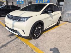 BYD Dolphin 420km Freedom Edition - ფოტო 1