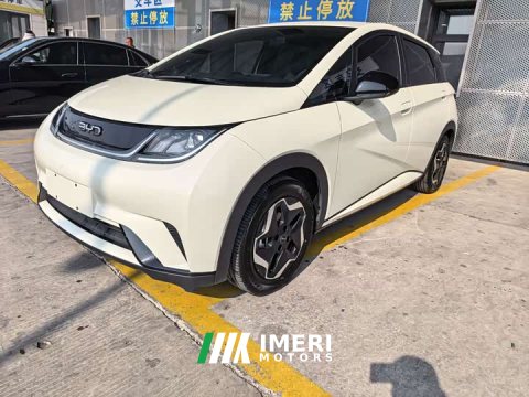 2025 BYD Dolphin 420km Freedom Edition - ავტომობილი ჩინეთიდან