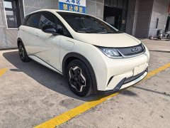 BYD Dolphin 420km Freedom Edition - ფოტო 3