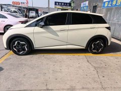 BYD Dolphin 420km Freedom Edition - ფოტო 4