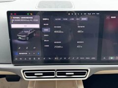 Li Auto L6 Max Smart Refresh Edition - ფოტო 9