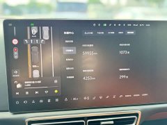 Li Auto L9 Pro - ფოტო 14