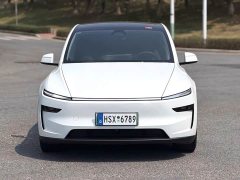 Tesla Model Y Long Range All-Wheel Drive Launch Edition - ფოტო 2
