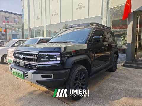 2024 Denza Leopard 5 2023 Navigator Edition - ავტომობილი ჩინეთიდან