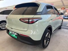 Geely Xing Yuan 310km Dream Edition - ფოტო 16