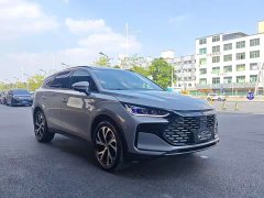 BYD Tang New Energy DM-i 115KM Premium Edition - ფოტო 2
