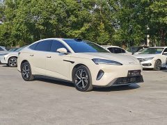 BYD Dolphin 07 DM-i 2026 DM-i 1.5T 230km Flagship - ფოტო 3