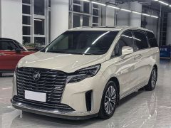 Buick GL8 2023 ES Land Executive Luxury Enjoyable Edition - ფოტო 1