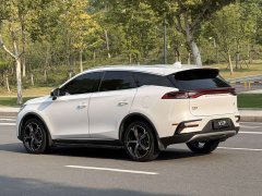 BYD Tang New Energy 2021 DM-i 112KM Premium Edition - ფოტო 11