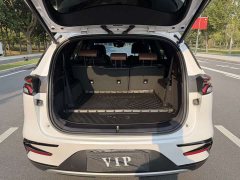 BYD Tang New Energy 2021 DM-i 112KM Premium Edition - ფოტო 9