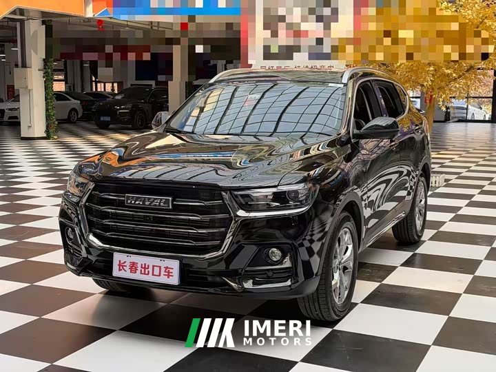 Haval H6 2021 National Trend 1.5T Automatic Champion Edition - ავტომობილი ჩინეთიდან
