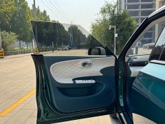 Dongfeng Nammi 01 430 Ultra - ფოტო 14