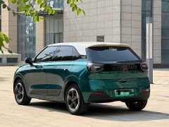 Dongfeng Nammi 01 430 Ultra - ფოტო 6