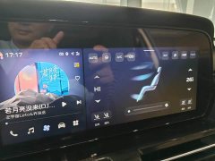 FAW Red Flag HS5 2023 2.0T AWD Flagship Enjoy Pro - ფოტო 5